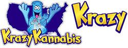 “Krazy